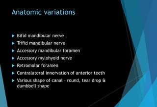 Anatomic variations
 Bifid mandibular nerve
 Trifid mandibular nerve
 Accessory mandibular foramen
 Accessory mylohyoid nerve
 Retromolar foramen
 Contralateral innervation of anterior teeth
 Various shape of canal – round, tear drop &
dumbbell shape
 