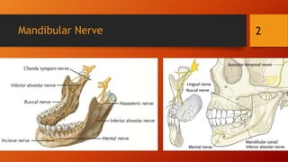 Mandibular nerve blocks | PPTX
