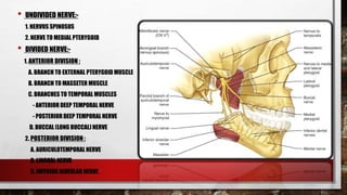MANDIBULAR NERVE BLOCK TECHNIQUES | PPTX