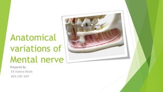 Prepared By
Dr.Yamen Nouh
BDS, DIP-ANT
Anatomical
variations of
Mental nerve
 