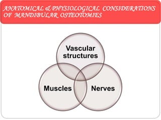 Vascular
structures
NervesMuscles
ANATOMICAL & PHYSIOLOGICAL CONSIDERATIONS
OF MANDIBULAR OSTEOTOMIES
 