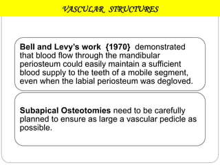 VASCULAR STRUCTURES
Bell and Levy’s work {1970} demonstrated
that blood flow through the mandibular
periosteum could easily maintain a sufficient
blood supply to the teeth of a mobile segment,
even when the labial periosteum was degloved.
Subapical Osteotomies need to be carefully
planned to ensure as large a vascular pedicle as
possible.
 