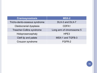 Craniosynostosis MSX-2
Tricho-dento-osseous syndrome DLX-3 and DLX-7
Cleidocranial dysplasia CDFA1
Treacher-Collins syndrome Long arm of chromosome 5
Holoprosencephaly HPE3
Cleft lip and palate MSX-1 and TGFB-3
Crouzon syndrome FGFR-2
15
 