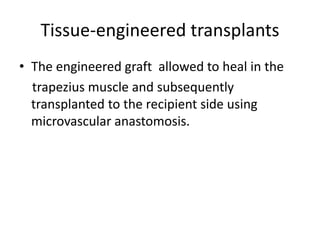 Tissue-engineered transplants
• The engineered graft allowed to heal in the
trapezius muscle and subsequently
transplanted to the recipient side using
microvascular anastomosis.
 