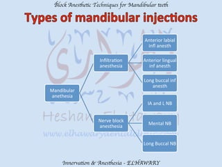 Mandibular teeth anesthetic block techniques | PDF