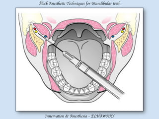 Mandibular teeth anesthetic block techniques | PDF