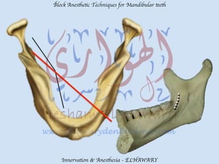 Mandibular teeth anesthetic block techniques | PDF