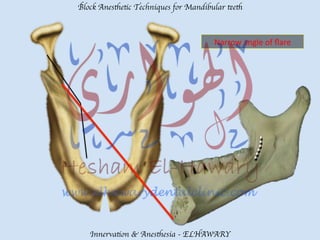 Mandibular teeth anesthetic block techniques | PDF
