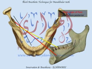 Mandibular teeth anesthetic block techniques | PDF