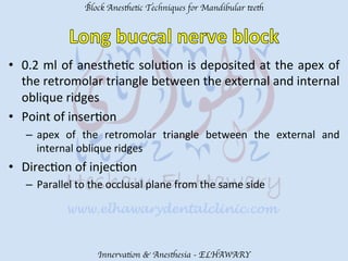 Mandibular teeth anesthetic block techniques | PDF