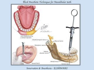 Mandibular teeth anesthetic block techniques | PDF