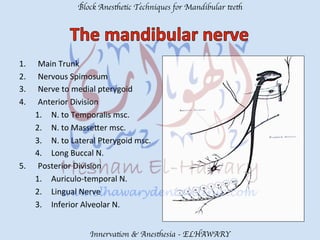 Block Anesthetic Techniques for Mandibular teeth
Innervation & Anesthesia - ELHAWARY
1.  Main	
  Trunk	
  
2.  Nervous	
  Spimosum	
  
3.  Nerve	
  to	
  medial	
  pterygoid	
  
4.  Anterior	
  Division	
  
1.  N.	
  to	
  Temporalis	
  msc.	
  
2.  N.	
  to	
  Masse?er	
  msc.	
  	
  
3.  N.	
  to	
  Lateral	
  Pterygoid	
  msc.	
  
4.  Long	
  Buccal	
  N.	
  
5.  Posterior	
  Division	
  
1.  Auriculo-­‐temporal	
  N.	
  
2.  Lingual	
  Nerve	
  
3.  Inferior	
  Alveolar	
  N.	
  
 