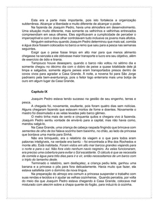 Esta era a parte mais importante, pois isto fortalecia a organização
subterrânea. Alcançar a liberdade e muito diferente de alcançar o poder.
Na fazenda de Joaquim Pedro, havia uma atmosfera em desenvolvimento.
Uma situação muito diferente, mas somente os velhinhos e velhinhas entrevados
compreendiam em seus olhares. Eles significavam a cumplicidade de perceber o
imperceptível e com o doce olhar controlavam tudo inclusive os jovens mais afoitos.
Ninguém estranhou quando Joaquim Pedro determinou que mais sal, comida
e água doce fossem colocados no barco a remo que saiu para a pesca nas semanas
seguintes.
Exigir que o peixe fosse limpo em alto mar para que menos alimento
chegasse na senzala e ele obtivesse maior transporte e lucro era seu objetivo, além
de exercício de ódio e tirania.
Tampouco houve desespero, quando o barco não voltou no sétimo dia e
somente chegou no décimo dia com o dobro de peixe a quase totalidade dele já
limpa e salgados, somente alguns peixes eram transportados presos dentro de
covos vivos para agradar a Casa Grande. À noite, a novena foi para São Jorge
padroeiro pela bem-aventurança, pois o feitor logo enterraria mais uma botija de
ouro em algum lugar da Casa Grande.
Capítulo IX
Joaquim Pedro estava tendo sucesso na gestão de seu engenho, terras e
pesca.
A chegada foi, novamente, exultante, pois foram quatro dias sem notícias.
Alguns chegaram fazendo que estavam mortos de fome e doentes. Novamente o
mastro foi dissimulado e as velas levadas pelo barco gêmeo.
O melro tinha mais de cento e cinquenta quilos e chegara vivo à fazenda.
Joaquim Pedro sentiu vontade de enviá-lo para a capital, mas não havia como,
mandou salgá-lo.
Na Casa Grande, uma criança de cabeça raspada fingindo que brincava com
sementes de olho de boi falava sozinho bem baixinho, no chão, ao lado da princesa
que bordava uma manta para Sinhá.
Não era brinquedo, era o relatório da viagem e o que para todos eram
palavras inteligíveis, na verdade era bantú: - foi encontrada a Ilha dos Rochedos e
monte alto. Está inabitada. Foram vistos em alto mar barcos grandes viajando para
o norte e para o sul. Não fora visto nenhum navio negreiro. As velas funcionaram,
era preciso uma cobertura para evitar o Sol escaldante. O cálculo é que se necessita
de comida e água para três dias para ir e vir, então necessitamos de um barco com
o triplo do tamanho deste.
Terminado o relatório, sem desfaçatez, a criança pediu leite, ganhou uma
banana e a princesa o pôs para fora delicadamente. Havia muito que fazer, ela
estava satisfeita com o domínio da nova língua.
Na preparação do almoço era comum a princesa suspender o trabalho com
suas rendas e tecidos e ir ajudar as velhas cozinheiras. Quando percebia, por volta
do meio dia que Joaquim Pedro estava chegando à Casa Grande, colocava mel
misturado com alecrim sobre a chapa quente do fogão, para induzi-lo à cozinha.
 