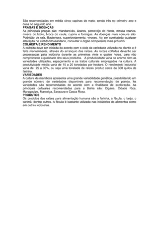 São recomendadas em média cinco capinas do mato, sendo três no primeiro ano e
duas no segundo ano.
PRAGAS E DOENÇAS
As principais pragas são: mandarovás, ácaros, percevejo de renda, mosca branca,
mosca do broto, broca do caule, cupins e formigas. As doenças mais comuns são:
Podridão de raiz, Bacteriose, superbrotamento, viroses. Ao ser constatada qualquer
alteração no estado fitossanitário, consultar o órgão competente mais próximo.
COLHEITA E RENDIMENTO
A colheita deve ser iniciada de acordo com o ciclo da variedade utilizada no plantio e é
feita manualmente, através do arranquio das raízes. As raízes colhidas deverão ser
processadas pela indústria durante as primeiras vinte e quatro horas, para não
comprometer a qualidade dos seus produtos. A produtividade varia de acordo com as
variedades utilizadas, espaçamento e os tratos culturais empregados na cultura. A
produtividade média varia de 15 a 20 toneladas por hectare. O rendimento industrial
varia de 25 a 30%, ou seja uma tonelada de raízes produz cerca de 300 quilos de
farinha.
VARIEDADES
A cultura da mandioca apresenta uma grande variabilidade genética, possibilitando um
grande número de variedades disponíveis para recomendação de plantio. As
variedades são recomendadas de acordo com a finalidade de exploração. As
principais cultivares recomendadas para a Bahia são: Cigana, Cidade Rica,
Maragogipe, Manteiga, Saracura e Casca Roxa.
PRODUTOS
Os produtos das raízes para alimentação humana são a farinha, a fécula, o beiju, o
carimã, dentre outros. A fécula é bastante utilizada nas indústrias de alimentos como
em outras indústrias.
 