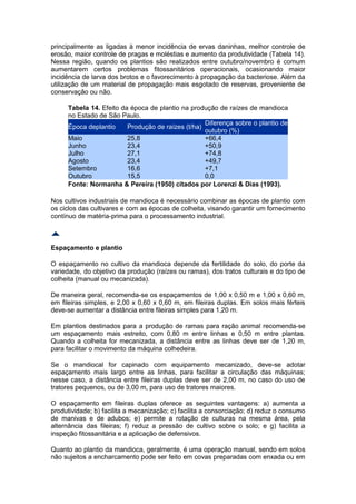 principalmente as ligadas à menor incidência de ervas daninhas, melhor controle de
erosão, maior controle de pragas e moléstias e aumento da produtividade (Tabela 14).
Nessa região, quando os plantios são realizados entre outubro/novembro é comum
aumentarem certos problemas fitossanitários operacionais, ocasionando maior
incidência de larva dos brotos e o favorecimento à propagação da bacteriose. Além da
utilização de um material de propagação mais esgotado de reservas, proveniente de
conservação ou não.

     Tabela 14. Efeito da época de plantio na produção de raízes de mandioca
     no Estado de São Paulo.
                                                   Diferença sobre o plantio de
     Época deplantio     Produção de raízes (t/ha)
                                                   outubro (%)
     Maio                25,8                      +66,4
     Junho               23,4                      +50,9
     Julho               27,1                      +74,8
     Agosto              23,4                      +49,7
     Setembro            16,6                      +7,1
     Outubro             15,5                      0,0
     Fonte: Normanha & Pereira (1950) citados por Lorenzi & Dias (1993).

Nos cultivos industriais de mandioca é necessário combinar as épocas de plantio com
os ciclos das cultivares e com as épocas de colheita, visando garantir um fornecimento
contínuo de matéria-prima para o processamento industrial.



Espaçamento e plantio

O espaçamento no cultivo da mandioca depende da fertilidade do solo, do porte da
variedade, do objetivo da produção (raízes ou ramas), dos tratos culturais e do tipo de
colheita (manual ou mecanizada).

De maneira geral, recomenda-se os espaçamentos de 1,00 x 0,50 m e 1,00 x 0,60 m,
em fileiras simples, e 2,00 x 0,60 x 0,60 m, em fileiras duplas. Em solos mais férteis
deve-se aumentar a distância entre fileiras simples para 1,20 m.

Em plantios destinados para a produção de ramas para ração animal recomenda-se
um espaçamento mais estreito, com 0,80 m entre linhas e 0,50 m entre plantas.
Quando a colheita for mecanizada, a distância entre as linhas deve ser de 1,20 m,
para facilitar o movimento da máquina colhedeira.

Se o mandiocal for capinado com equipamento mecanizado, deve-se adotar
espaçamento mais largo entre as linhas, para facilitar a circulação das máquinas;
nesse caso, a distância entre fileiras duplas deve ser de 2,00 m, no caso do uso de
tratores pequenos, ou de 3,00 m, para uso de tratores maiores.

O espaçamento em fileiras duplas oferece as seguintes vantagens: a) aumenta a
produtividade; b) facilita a mecanização; c) facilita a consorciação; d) reduz o consumo
de manivas e de adubos; e) permite a rotação de culturas na mesma área, pela
alternância das fileiras; f) reduz a pressão de cultivo sobre o solo; e g) facilita a
inspeção fitossanitária e a aplicação de defensivos.

Quanto ao plantio da mandioca, geralmente, é uma operação manual, sendo em solos
não sujeitos a encharcamento pode ser feito em covas preparadas com enxada ou em
 