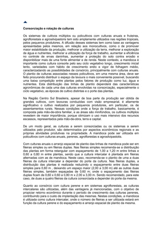 Consorciação e rotação de culturas

Os sistemas de cultivos múltiplos ou policultivos com culturas anuais e fruteiras,
agroflorestais e agrosilvipastoris tem sido amplamente utilizados nas regiões tropicais,
pelos pequenos produtores. A difusão desses sistemas tem como base as vantagens
apresentadas pelos mesmos, em relação aos monocultivos, como o de promover
maior estabilidade da produção, melhorar a utilização da terra, melhorar a exploração
de água e nutrientes, melhorar a utilização da força de trabalho, aumentar a eficiência
no controle de ervas daninhas, aumentar a proteção do solo contra erosão e
disponibilizar mais de uma fonte alimentar e de renda. Neste contexto, a mandioca é
importante como cultura consorte pelo seu ciclo vegetativo longo, crescimento inicial
lento, variedades com hábito de crescimento ereto e vigor de folhagem médio,
caracterizadando as possibilidades de consórcio, principalmente com culturas anuais.
O plantio de culturas associadas nesses policultivos, em uma mesma área, deve ser
feito procurando distribuir o espaço da lavoura o mais conveniente possível, buscando
uma baixa competição entre plantas pelos fatores de produção como luz, água e
nutrientes. Esta distribuição das linhas de plantio dependerá das características
agronômicas de cada uma das culturas envolvidas na consorciação, especialmente o
ciclo vegetativo, as épocas de cultivo distintas e o porte das plantas.

Na Região Centro Sul Brasileira, apesar de boa parte da produção ser obtida de
grandes cultivos, com lavouras conduzidas com visão empresarial, é altamente
significativo o cultivo realizados por pequenos produtores, em particular, os de
assentamentos rurais. Nessas condições onde a força de trabalho, basicamente, é
composta pela mão-de-obra familiar, e as áreas são minifúndios, os cultivos múltiplos
revestem de maior importância, porque otimizam o uso mais intensivo dos recursos
escassos, representados pela mão-de-obra, terra e capital.

De um modo geral, as culturas a serem consorciadas ou os sistemas a serem
utilizados pelo produtor, são determinados por aspectos econômicos regionais e as
próprias atividades produtivas na propriedade. A mandioca pode ser utilizada em
policultivos com culturas anuais, perenes, agroflorestas e agrosilvipastotis.

Com culturas anuais o arranjo espacial de plantio das linhas de mandioca pode ser em
fileiras simples ou em fileiras duplas. Nas fileiras simples recomenda-se a distribuição
das plantas em forma retangular com espaçamento de 1,00 a 1,20 m entre linhas e
0,60 a 0,80 m entre plantas, sendo que a cultura intercalar é plantada em fileiras
alternadas com as de mandioca. Neste caso, recomenda-se o plantio de uma a duas
fileiras da cultura intercalar a depender do porte da cultura. Nas fileiras duplas, a
distribuição das plantas é realizada reduzindo o espaçamento entre duas fileiras
simples para 0,60 m , deixando um espaço maior (2,00 a 3,00 m) até as outras duas
fileiras simples, também espaçadas de 0,60 m; onde o espaçamento das fileiras
duplas ficam de 0,60 x 0,60 a 0,80 m x 2,00 a 3,00 m. Sendo recomendado, para este
caso, de duas a quatro fileiras da cultura consorciada a depender do porte da mesma.

Quanto ao consórcio com cultura perene e em sistemas agroflorestais, as culturas
intercalares são utilizadas, além das vantagens já mencionadas, com o objetivo de
propiciar retorno econômico durante o período de crescimento das culturas perenes,
contribuindo para o custo de implantação das mesmas. Nestas condições, a mandioca
é utilizada como cultura intercalar, onde o número de fileiras a ser utilizada estará em
função da cultura perene e do espaçamento e arranjo espacial de plantio da mesma.
 
