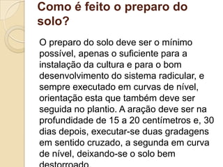 Como é feito o preparo do
solo?
O preparo do solo deve ser o mínimo
possível, apenas o suficiente para a
instalação da cultura e para o bom
desenvolvimento do sistema radicular, e
sempre executado em curvas de nível,
orientação esta que também deve ser
seguida no plantio. A aração deve ser na
profundidade de 15 a 20 centímetros e, 30
dias depois, executar-se duas gradagens
em sentido cruzado, a segunda em curva
de nível, deixando-se o solo bem

 