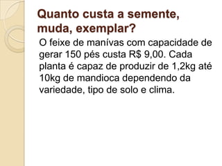 Quanto custa a semente,
muda, exemplar?
O feixe de manívas com capacidade de
gerar 150 pés custa R$ 9,00. Cada
planta é capaz de produzir de 1,2kg até
10kg de mandioca dependendo da
variedade, tipo de solo e clima.

 