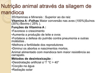 Nutrição animal através da silagem de
mandioca
35Vitaminas e Minerais : Superior ao da raiz
Vitamina A –Folhas Maior conversão nas aves (100%)Suínos
(30%) Bovino ( 25% ).
Funções da Vitamina A :
•Favorece o crescimento
•Aumenta a produção de leite e ovos
•Fortalece a defesa do pulmão contra pneumonia e outras
moléstias .
•Melhora a fertilidade dos reprodutores
•Diminui os abortos e nascimentos mortos.
Animal alimentado com mandioca tem maior resistência ao
carrapato.
Métodos de desintoxicação :
•Desidratação artificial c/ T °C > 40°
•Cocção na água
•Radiação solar

 