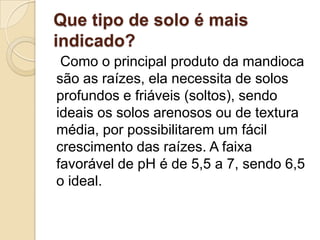 Que tipo de solo é mais
indicado?
Como o principal produto da mandioca
são as raízes, ela necessita de solos
profundos e friáveis (soltos), sendo
ideais os solos arenosos ou de textura
média, por possibilitarem um fácil
crescimento das raízes. A faixa
favorável de pH é de 5,5 a 7, sendo 6,5
o ideal.

 