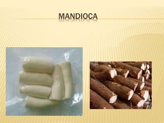 MANDIOCA
 