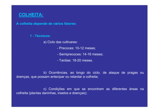 COLHEITA:
A colheita depende de vários fatores:


        1 - Técnicos:
                a) Ciclo das cultivares:
                         - Precoces: 10-12 meses;
                         - Semiprecoces: 14-16 meses;
                         - Tardias: 18-20 meses.


                b) Ocorrências, ao longo do ciclo, de ataque de pragas ou
doenças, que possam antecipar ou retardar a colheita;


                   c) Condições em que se encontram as diferentes áreas na
colheita (plantas daninhas, insetos e doenças);
 
