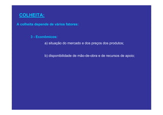 COLHEITA:
A colheita depende de vários fatores:


        3 - Econômicos:
                a) situação do mercado e dos preços dos produtos;


                b) disponibilidade de mão-de-obra e de recursos de apoio;
 