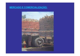 MERCADO E COMERCIALIZAÇÃO:
 