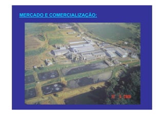 MERCADO E COMERCIALIZAÇÃO:
 