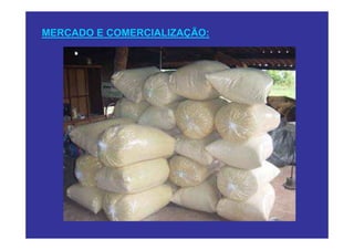 MERCADO E COMERCIALIZAÇÃO:
 