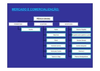MERCADO E COMERCIALIZAÇÃO:


                         FÉCULA (Amido)


 FERMENTADA                 IN NATURA                         MODIFICADA



              Polvilho                         Papéis                          Dextrina (Papelão)



                                              Baby-food                Pré-gelatinizados (gelatina e pudins)



                                               Álcool                           Glucose (Xarope)



                                          Fermento Químico                     Sorbitol (Adoçante)



                                          Goma para Tecidos                        Vitamina C



                                           Tapioca ou Sagu                  Plásticos Biodegradáveis
 