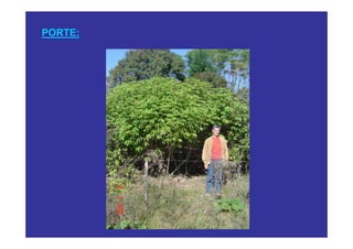 PORTE:
 