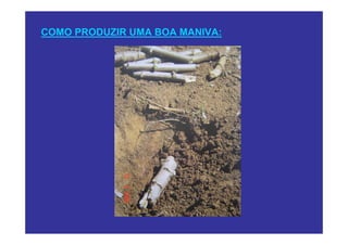 COMO PRODUZIR UMA BOA MANIVA:
 