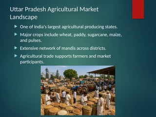 Uttar Pradesh Agricultural Market
Landscape
 One of India's largest agricultural producing states.
 Major crops include wheat, paddy, sugarcane, maize,
and pulses.
 Extensive network of mandis across districts.
 Agricultural trade supports farmers and market
participants.
 