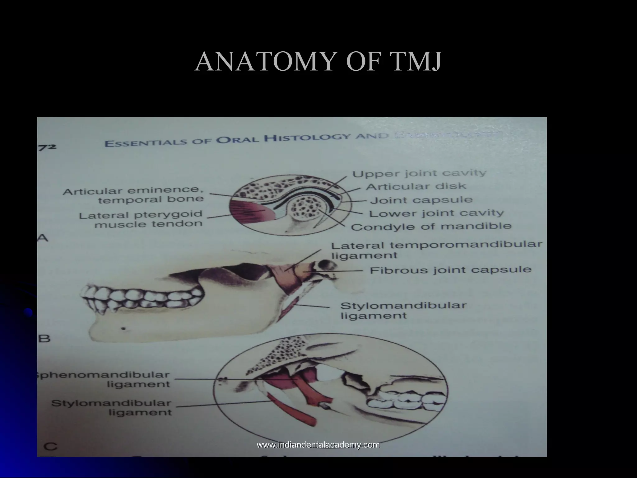 ANATOMY OF TMJANATOMY OF TMJ
www.indiandentalacademy.comwww.indiandentalacademy.com
 