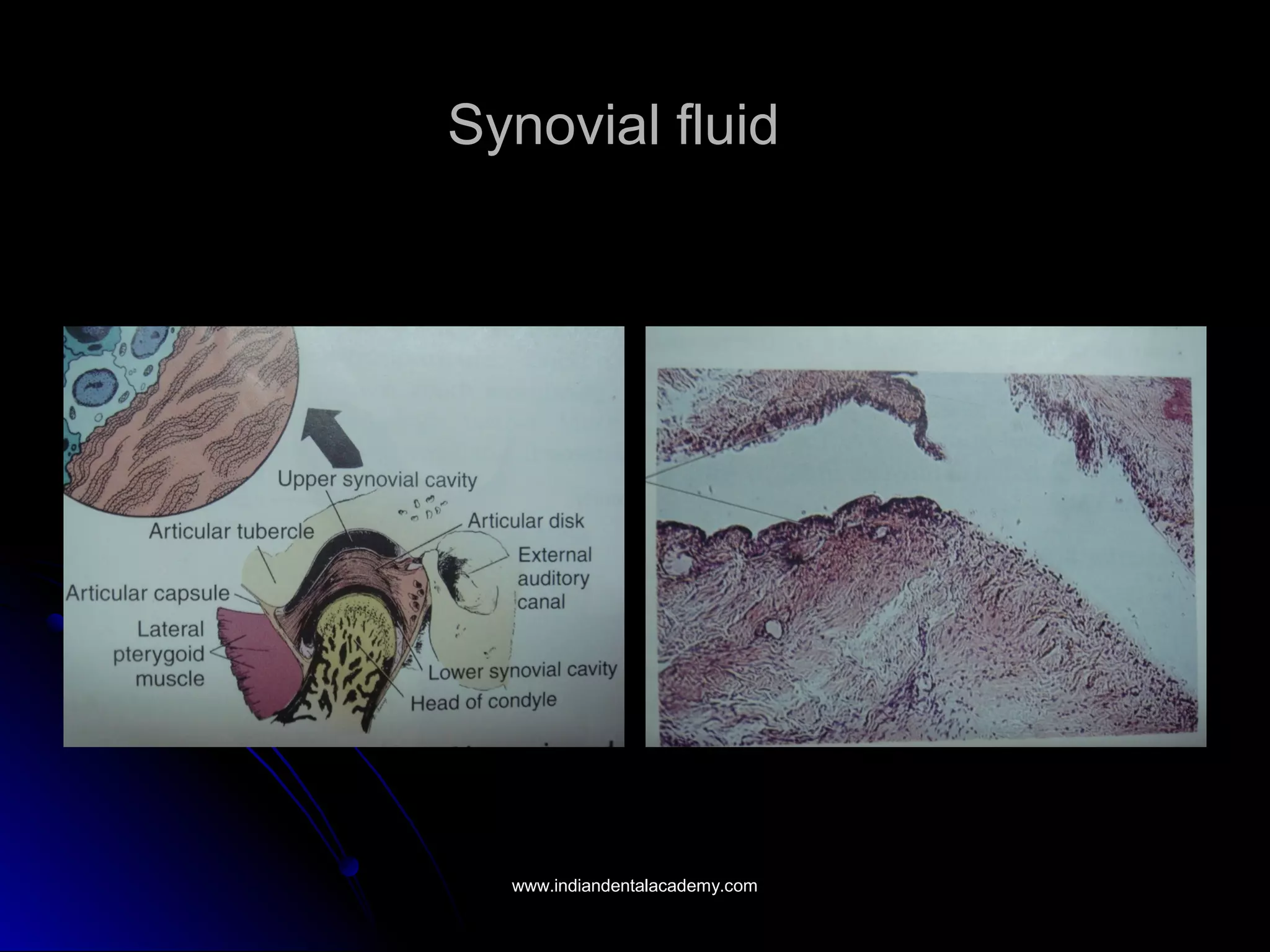 Synovial fluidSynovial fluid
www.indiandentalacademy.comwww.indiandentalacademy.com
 