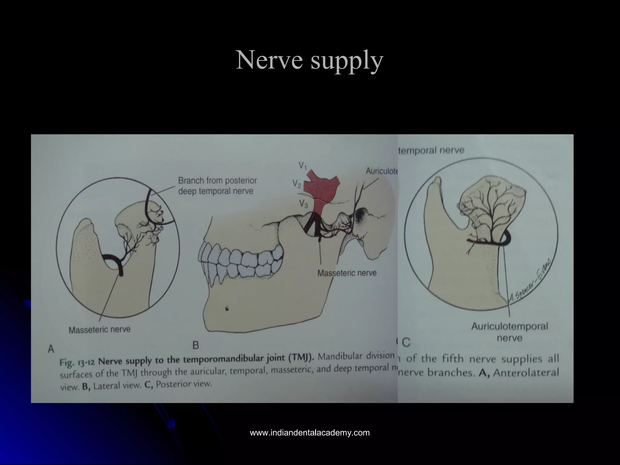 Nerve supplyNerve supply
www.indiandentalacademy.comwww.indiandentalacademy.com
 