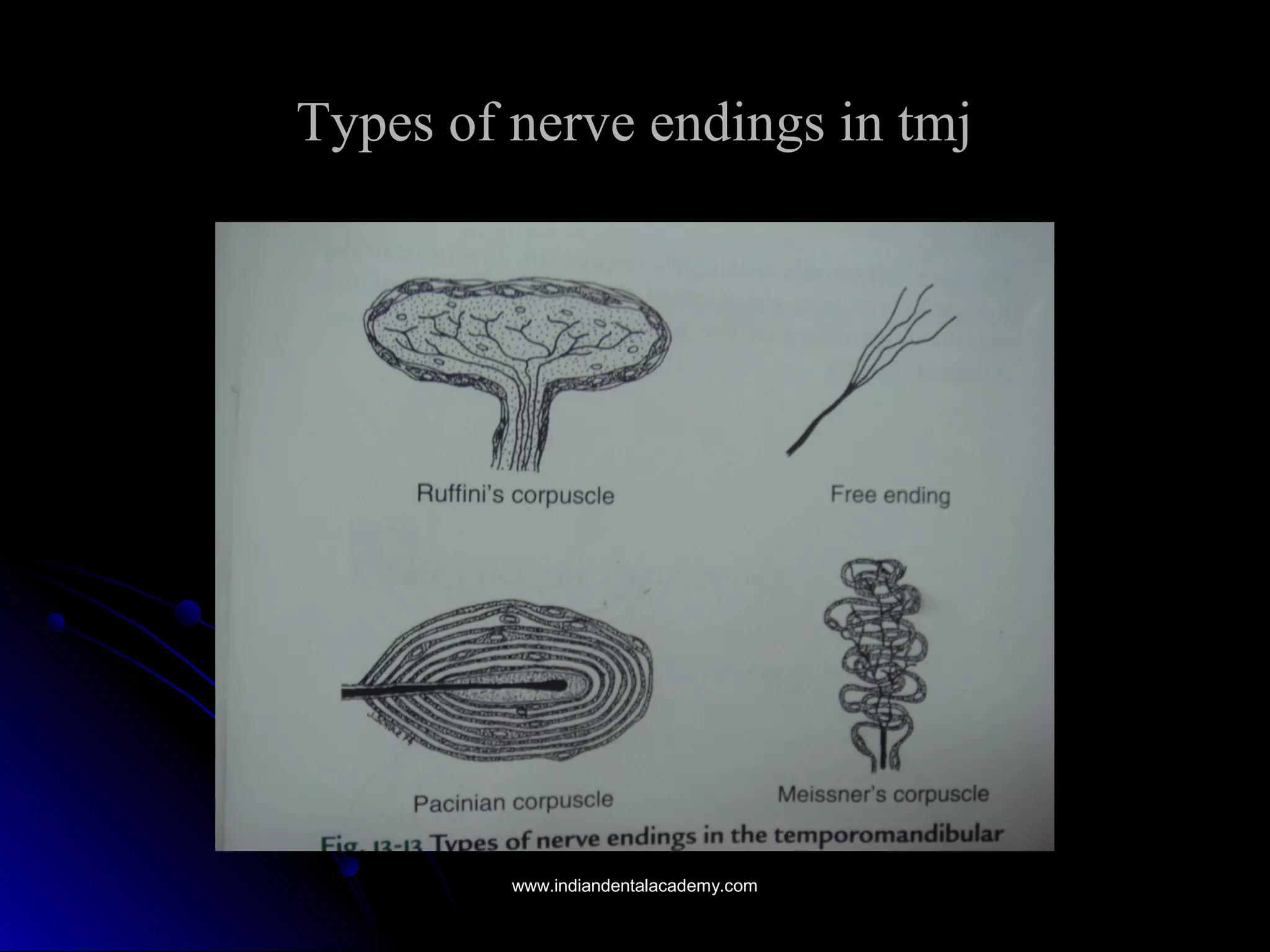 Types of nerve endings in tmjTypes of nerve endings in tmj
www.indiandentalacademy.comwww.indiandentalacademy.com
 