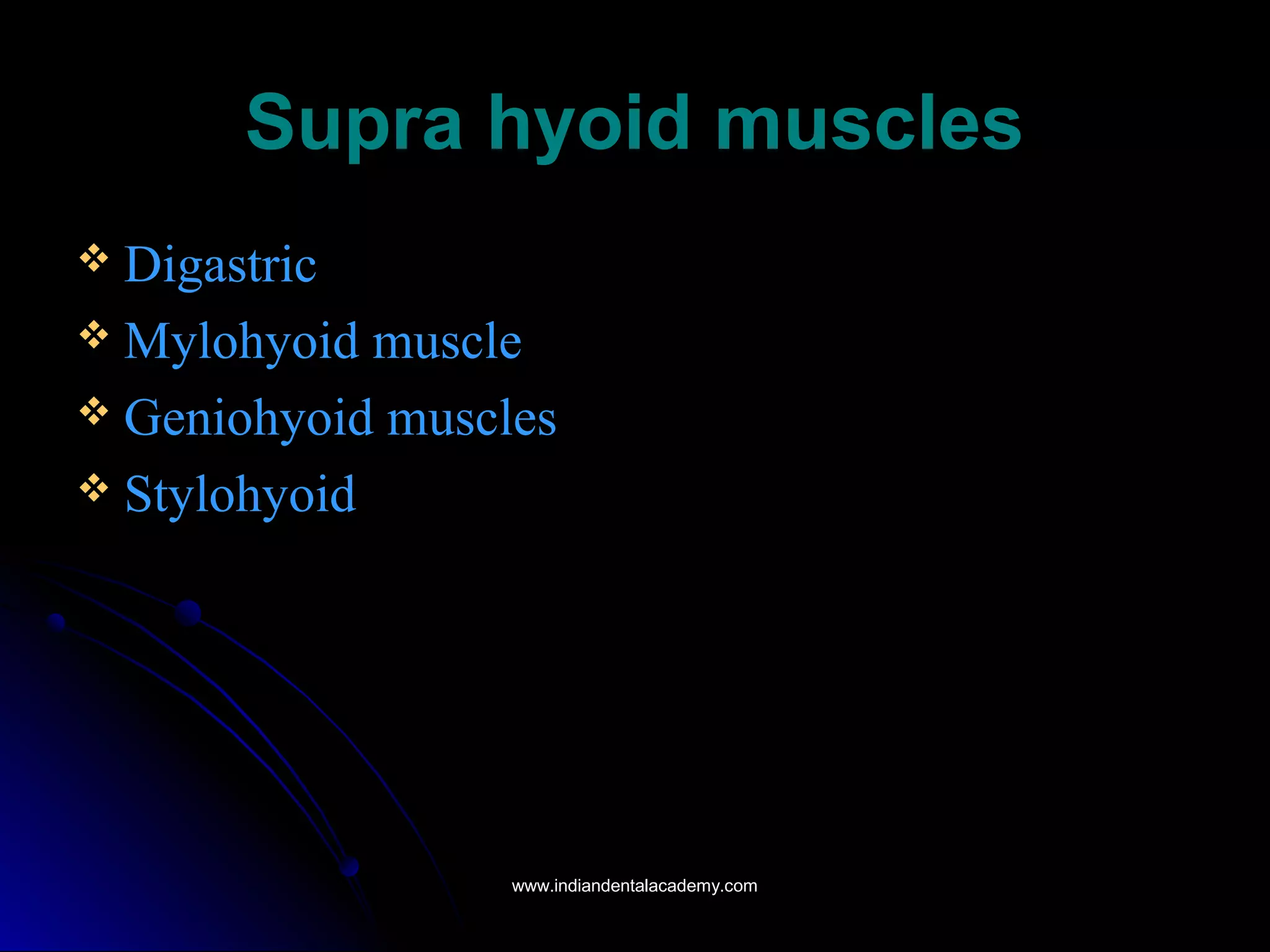 Supra hyoid musclesSupra hyoid muscles
 DigastricDigastric
 Mylohyoid muscleMylohyoid muscle
 Geniohyoid musclesGeniohyoid muscles
 StylohyoidStylohyoid
www.indiandentalacademy.comwww.indiandentalacademy.com
 