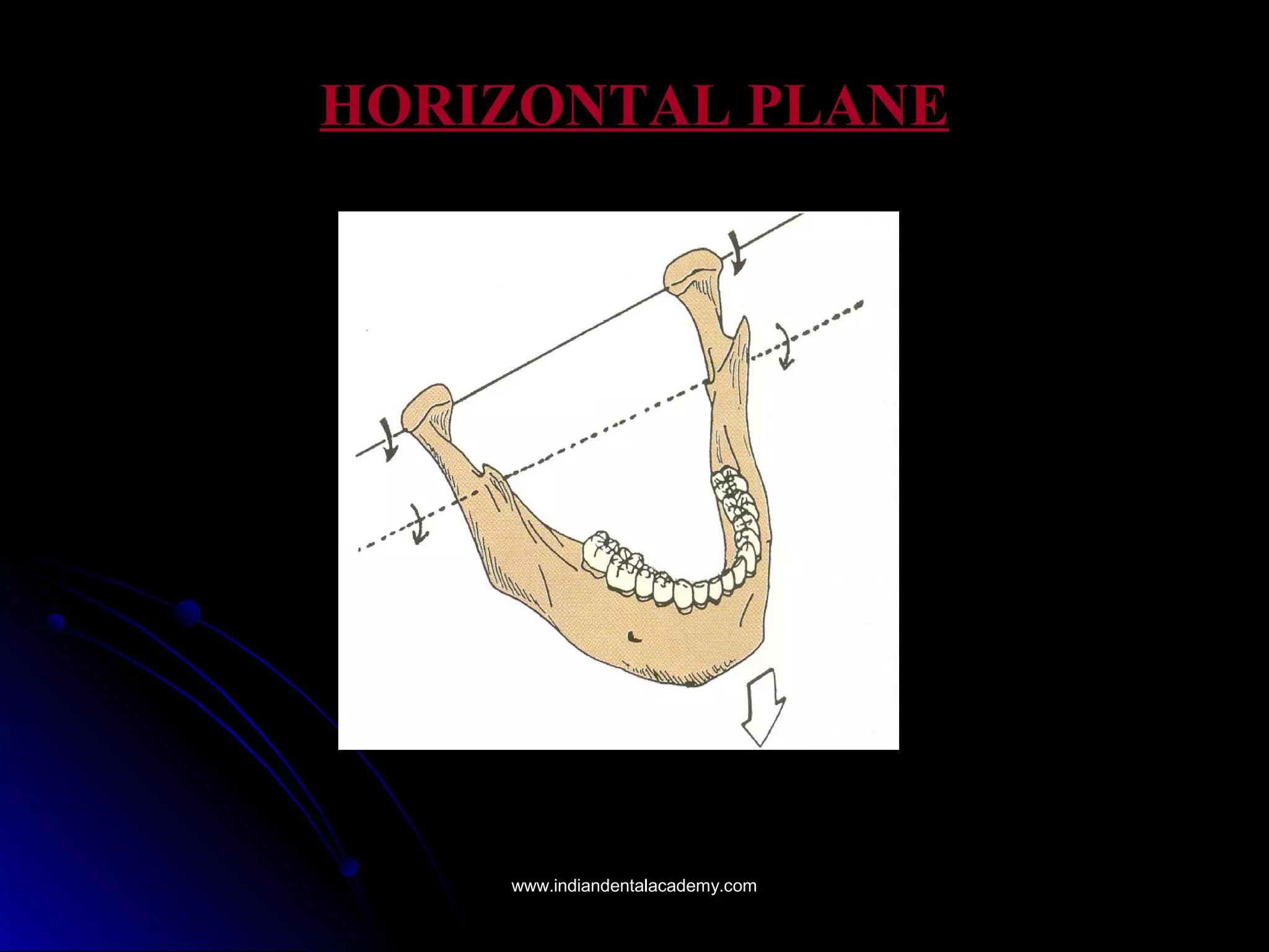 HORIZONTAL PLANEHORIZONTAL PLANE
www.indiandentalacademy.comwww.indiandentalacademy.com
 