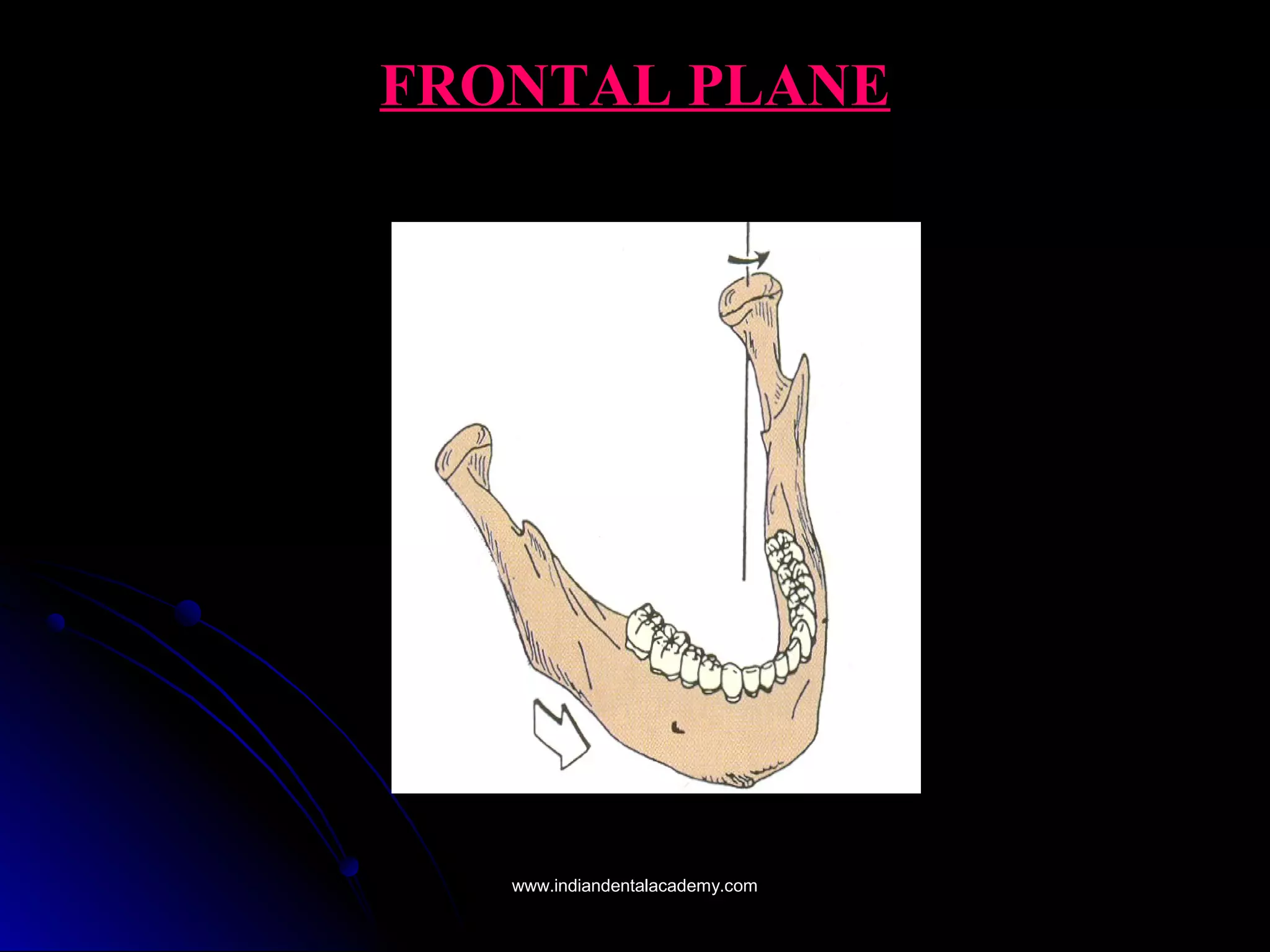 FRONTAL PLANEFRONTAL PLANE
www.indiandentalacademy.comwww.indiandentalacademy.com
 