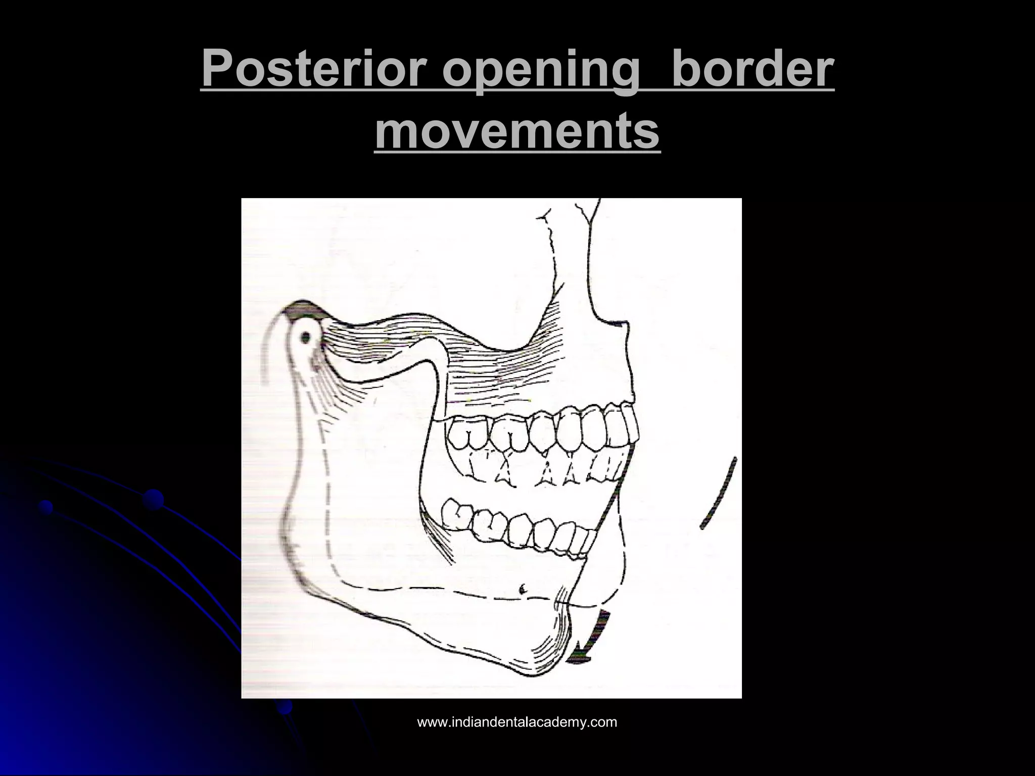 Posterior opening borderPosterior opening border
movementsmovements
www.indiandentalacademy.comwww.indiandentalacademy.com
 