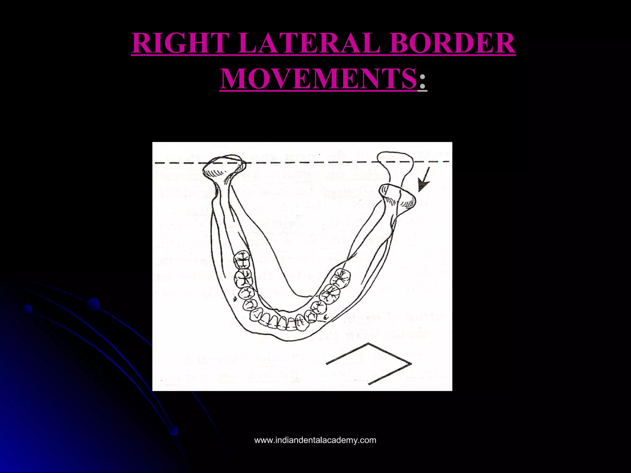 RIGHT LATERAL BORDERRIGHT LATERAL BORDER
MOVEMENTSMOVEMENTS::
www.indiandentalacademy.comwww.indiandentalacademy.com
 