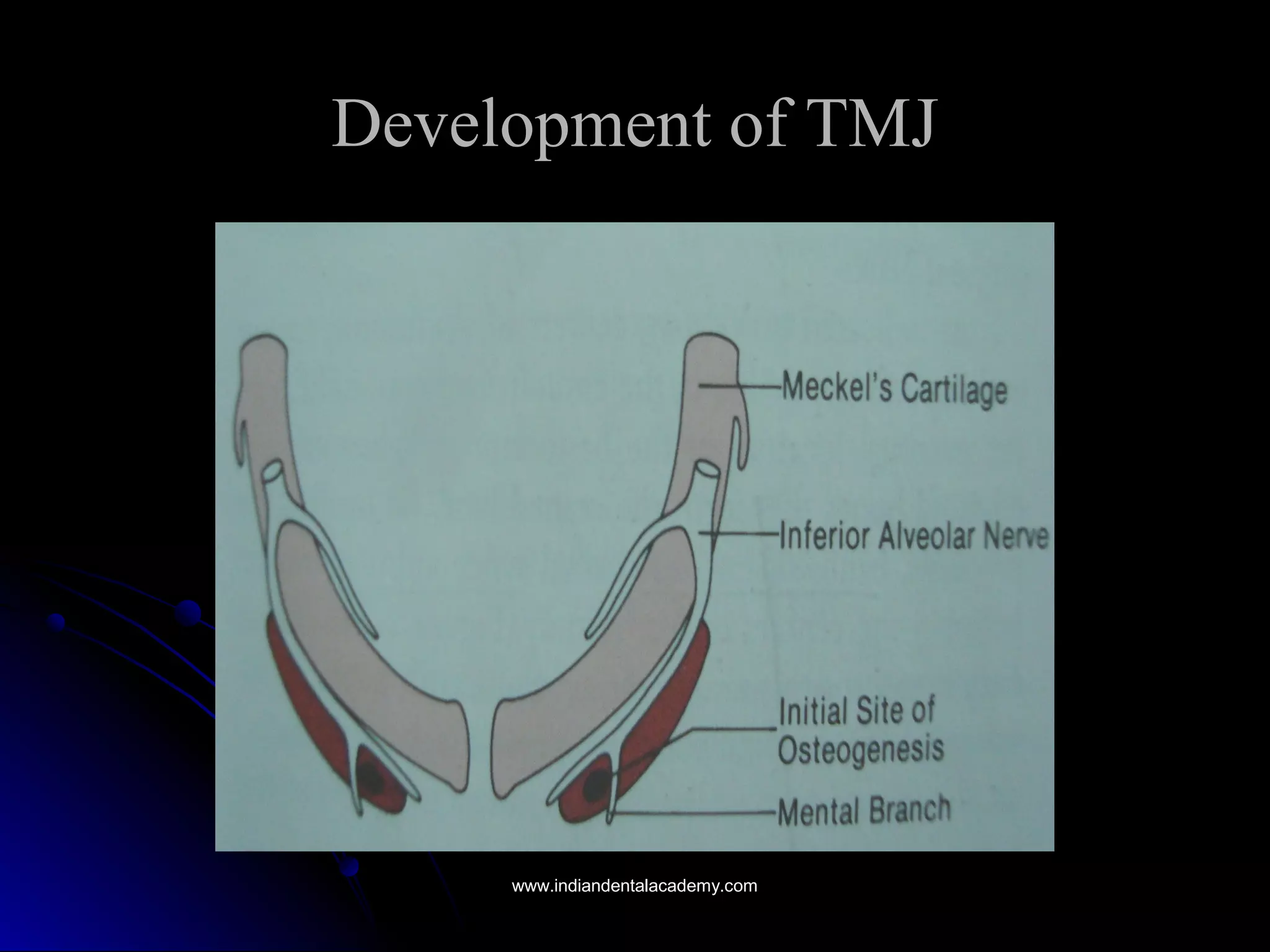 Development of TMJDevelopment of TMJ
www.indiandentalacademy.comwww.indiandentalacademy.com
 