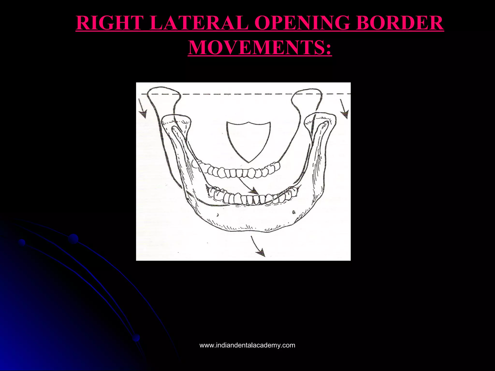 RIGHT LATERAL OPENING BORDERRIGHT LATERAL OPENING BORDER
MOVEMENTS:MOVEMENTS:
www.indiandentalacademy.comwww.indiandentalacademy.com
 