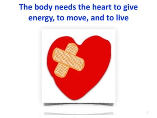 The	body	needs	the	heart	to	give	
energy,	to	move,	and	to	live
7
 