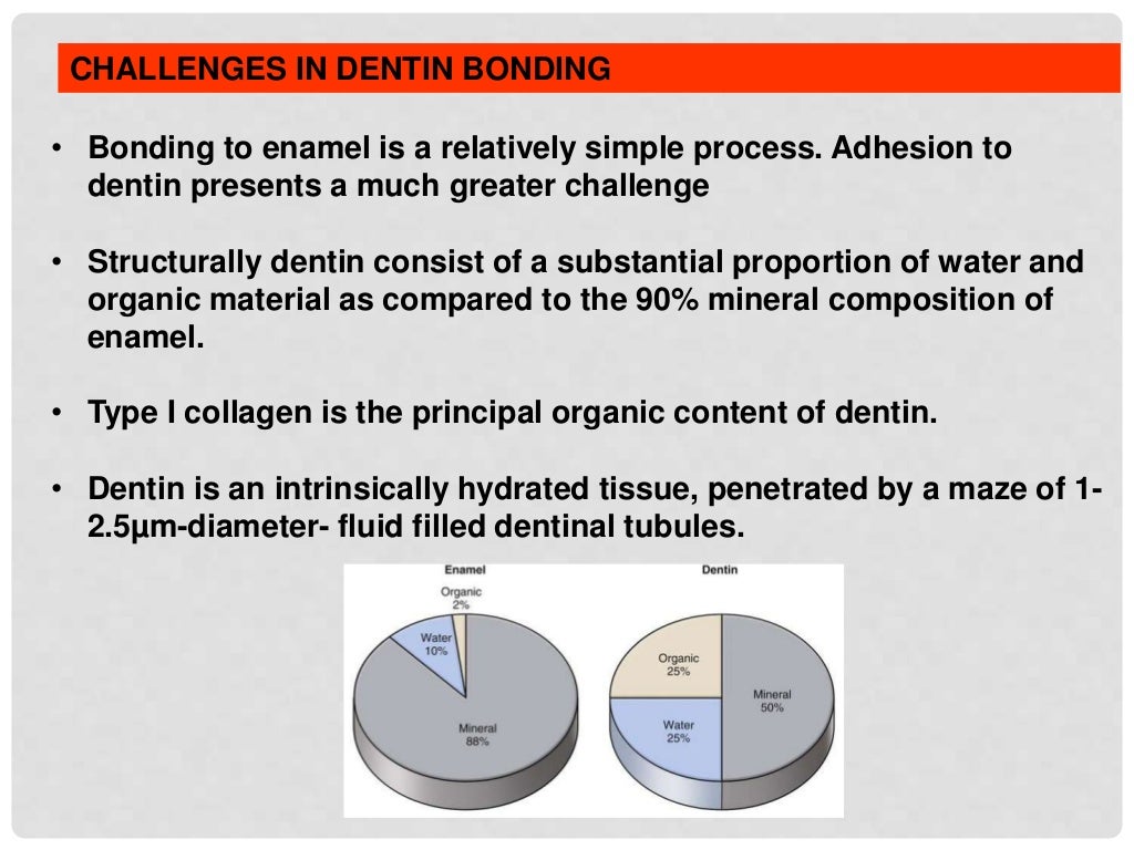 bonding to enamel & dentin