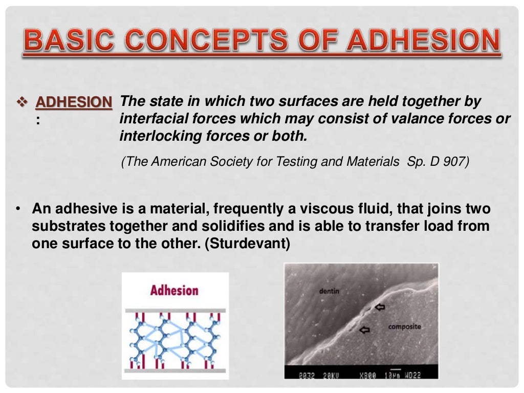 bonding to enamel & dentin