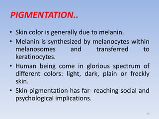 PIGMENTATION..
• Skin color is generally due to melanin.
• Melanin is synthesized by melanocytes within
melanosomes and transferred to
keratinocytes.
• Human being come in glorious spectrum of
different colors: light, dark, plain or freckly
skin.
• Skin pigmentation has far- reaching social and
psychological implications.
14
 