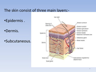 4
The skin consist of three main layers:-
•Epidermis .
•Dermis.
•Subcutaneous.
 